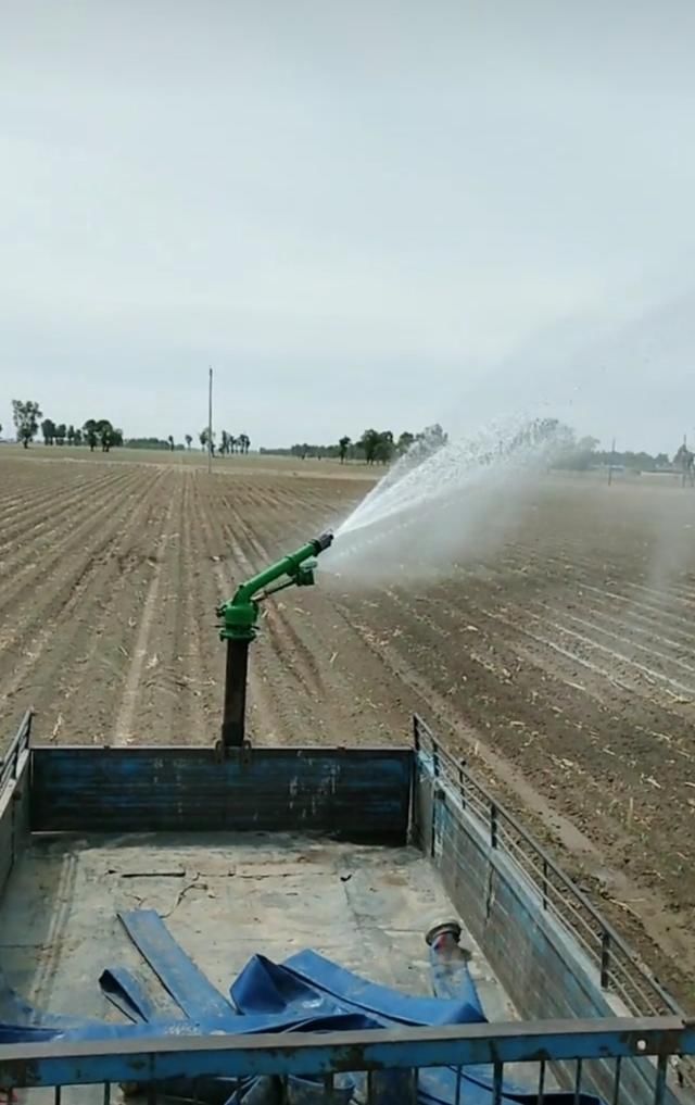 连夜整理:东北不下雨玉米不出苗 老农民掀起抗