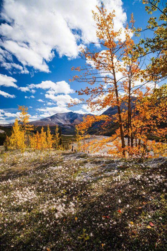 一句话早安心情说说,句句精辟,拿去发朋友圈吧