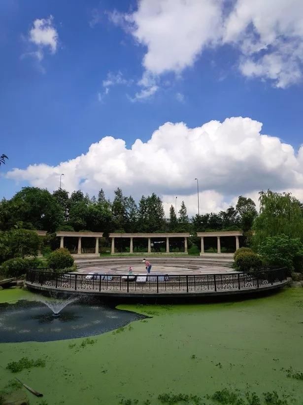 坚果PRO2S 相机样张实拍对比小米8SE、坚果PRO2