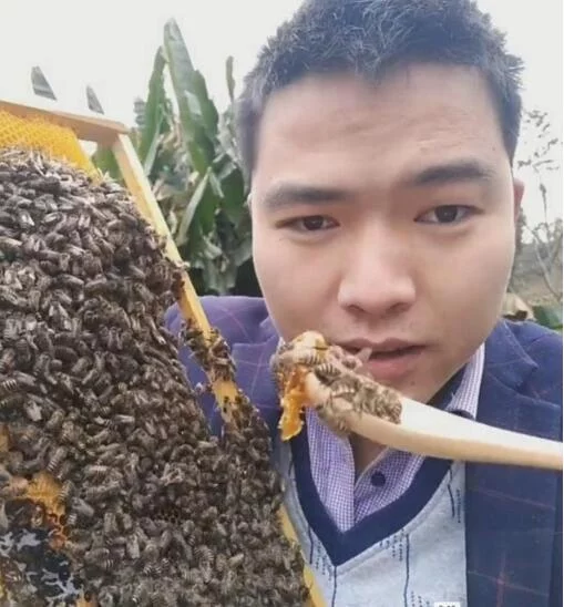 干嚼蜜蜂什么味？小伙直播吃蜂蜜，结果误吃蜜蜂，看着都疼！