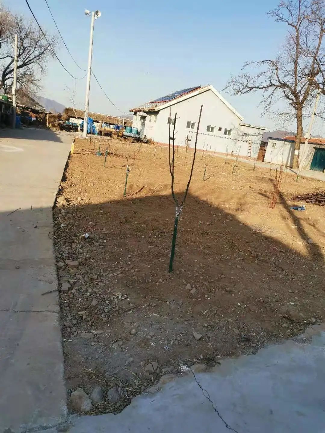 "疏整促"让大华山镇前北宫村"靓"起来