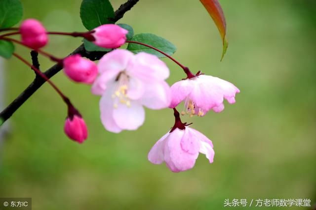 孩子即将面临中考,妈妈该怎么做?家长该怎么做