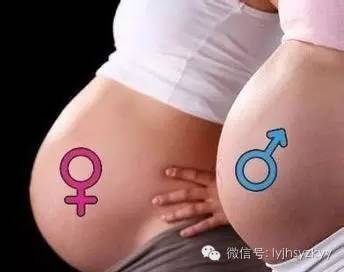 为什么孕妇的肚子有尖有圆? 为什么孕妇的肚子有尖有圆?