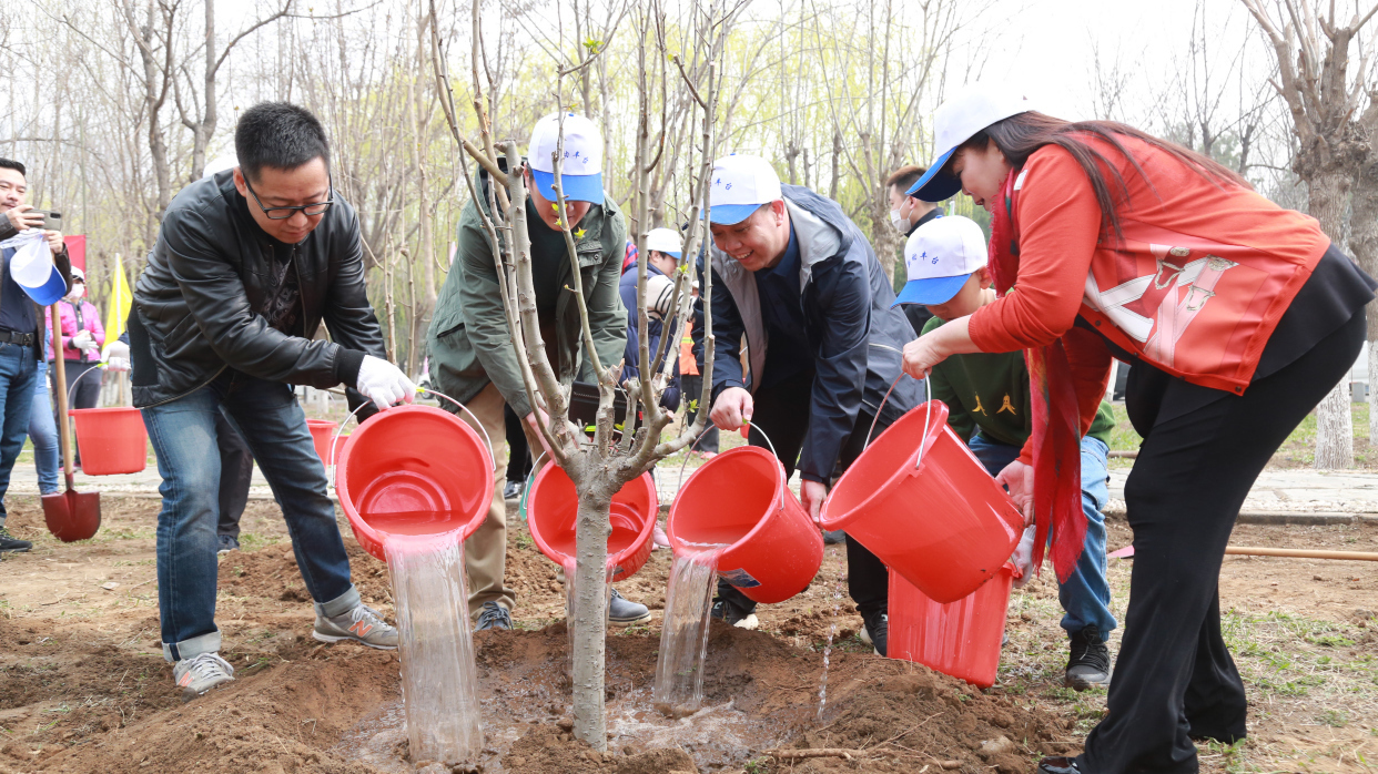 丰台区组织新阶层人士开展“青山绿水情公益‘新’先行”植树活动