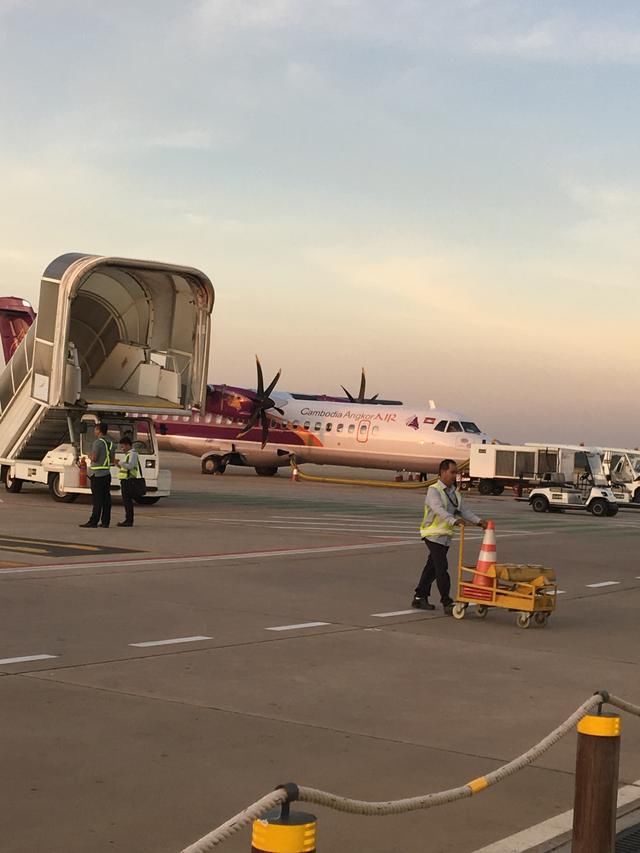 泰国黑导游是中国人!旅行社投300万一年挣3个