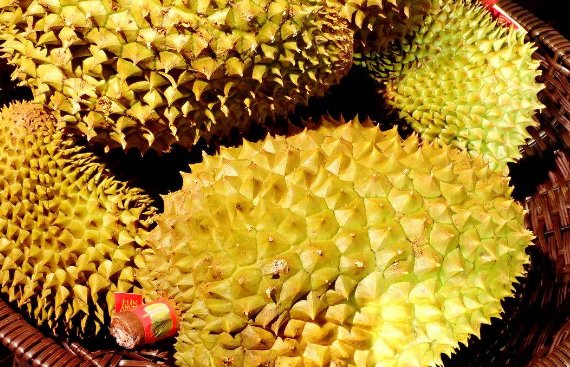 什么时候的榴莲 最好吃且价钱便宜?