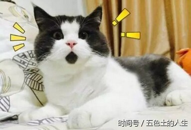 抗生素可引发药物性肝损伤,需留意身体这些信