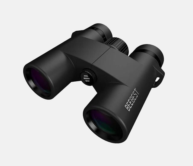 t013c42a5127a8b473e.jpg?size=640x551