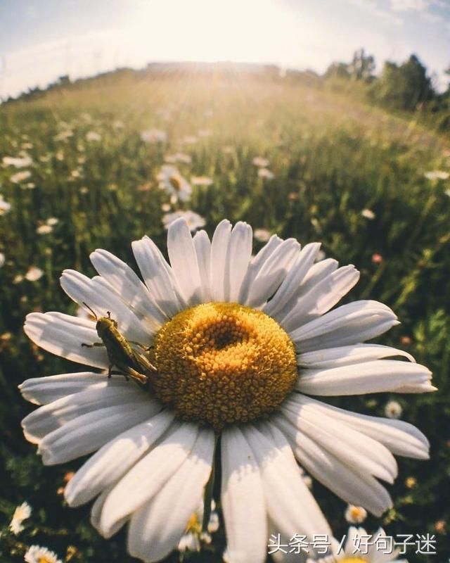 适合发朋友圈的励志说说短句,句句精辟,让你元