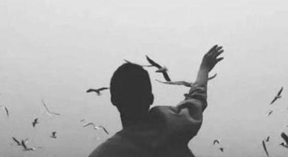 抖音怎么刷赞之怎么刷抖音点赞及抖音刷赞怎么