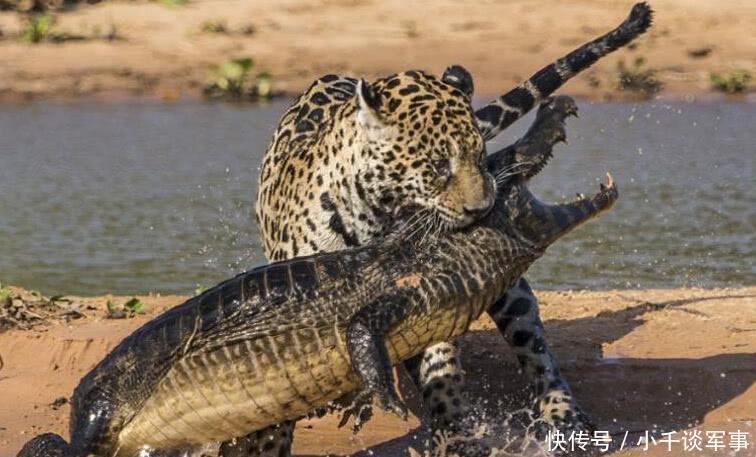 用落后发动机,歼20何以超音速无敌?!