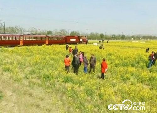 王传喜：埋头实干19年，带领“乱村”换新颜