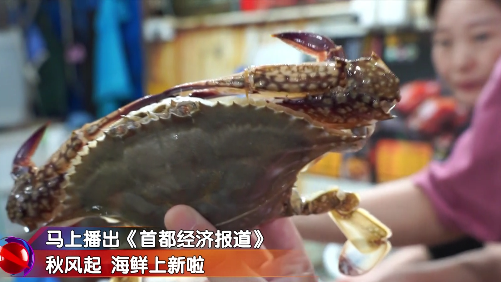【首经今日看点】秋风起，海鲜上新啦！
