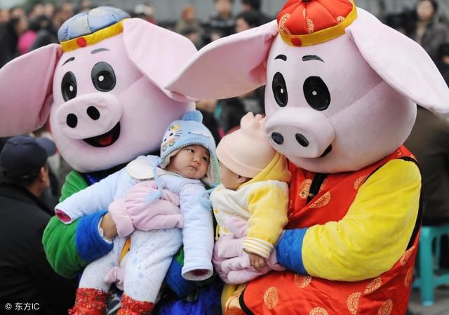 命太好!2019年几月份出生的猪宝宝最有福气