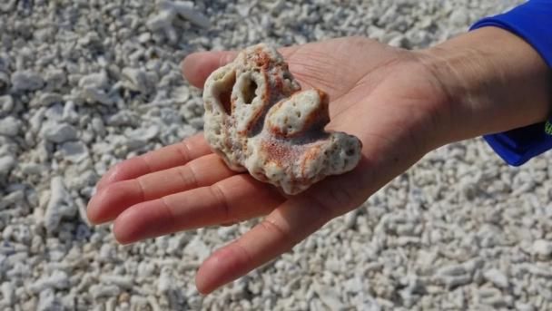 发现西沙之旅|中国最美海岛,一生必去的地方,玻