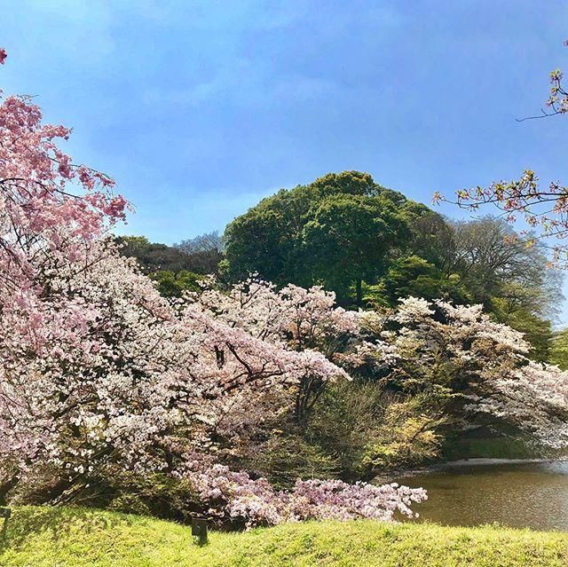 中国有故宫,看一下日本的皇居是长什么样的