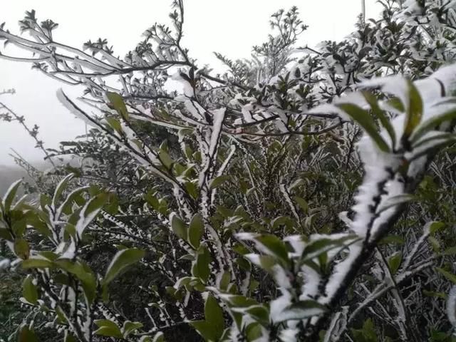 凤凰天池下雪图片