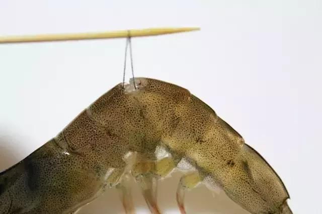 大虾只会水煮吃?教你5种大虾做法,既营养又美