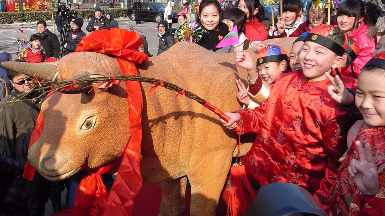 立春打春牛！看绝迹百年的鞭春仪式