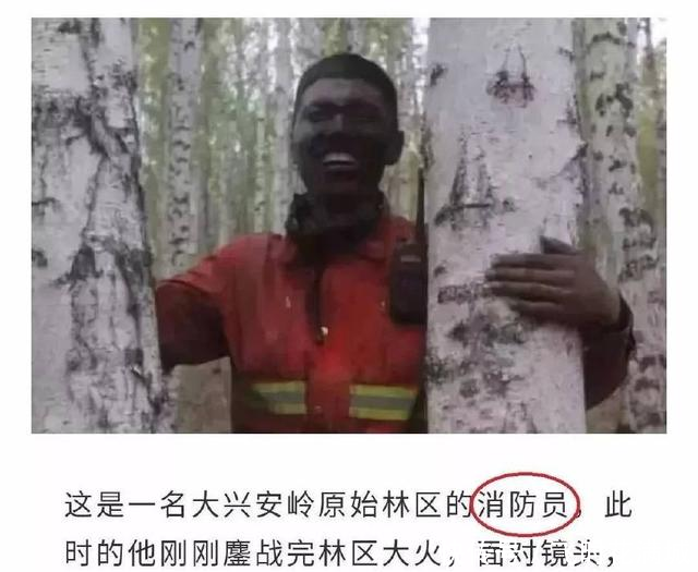 致敬即将转隶地方的武警森林部队,就不要再叫