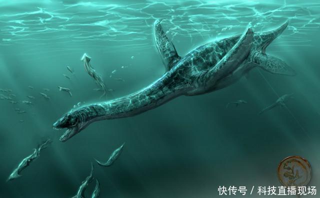 恐龙真的灭绝了吗?日本渔船捕获的怪物,让专家