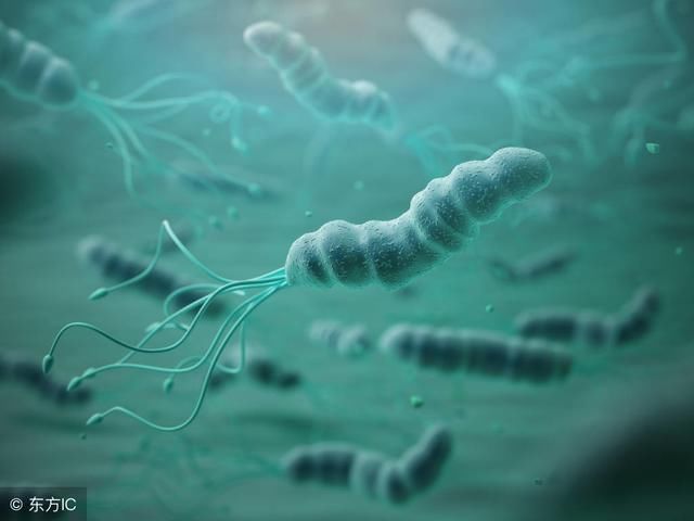 如何有效清除幽门螺旋杆菌?看完就知道,这个方