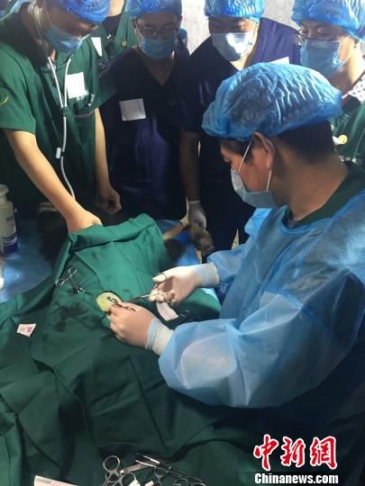 青海果洛培养技术人才学习流浪犬绝育