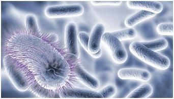 糖心蛋的爱恨情仇,吃错了可能会要命!