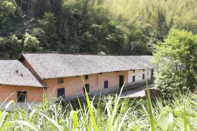 在王源村,几乎找不到现代的影子,这里没有因旅游开