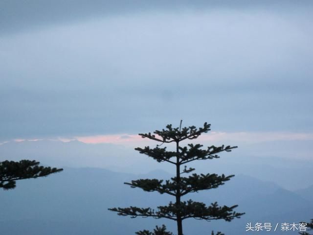 天府之国 从雷洞坪步行上山到金顶 下雨天黑风