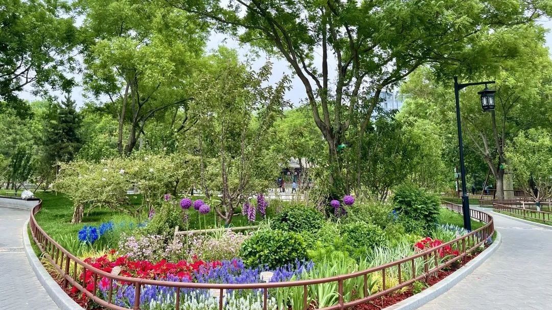 来打卡!陶然亭公园上新啦 来打卡!陶然亭公园上新啦