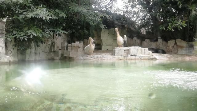 长隆世界,带孩子广州游必去的新景点,广东行6