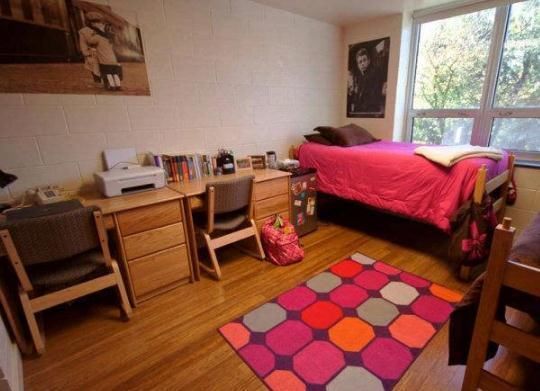 英国留学住宿全攻略,犯罪率上升十年之最!你住