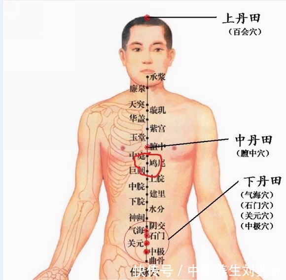 天天早晨揉这里赛过吃几年补肾药