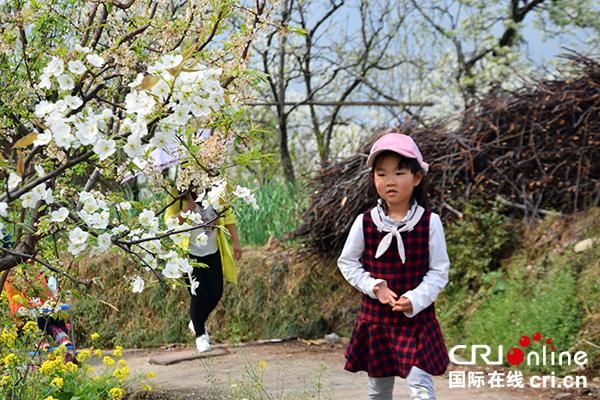 推动乡村振兴战略 第七届阳光汉源赏花旅游文