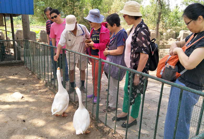 京民社区一家亲--居民外出拓展活动