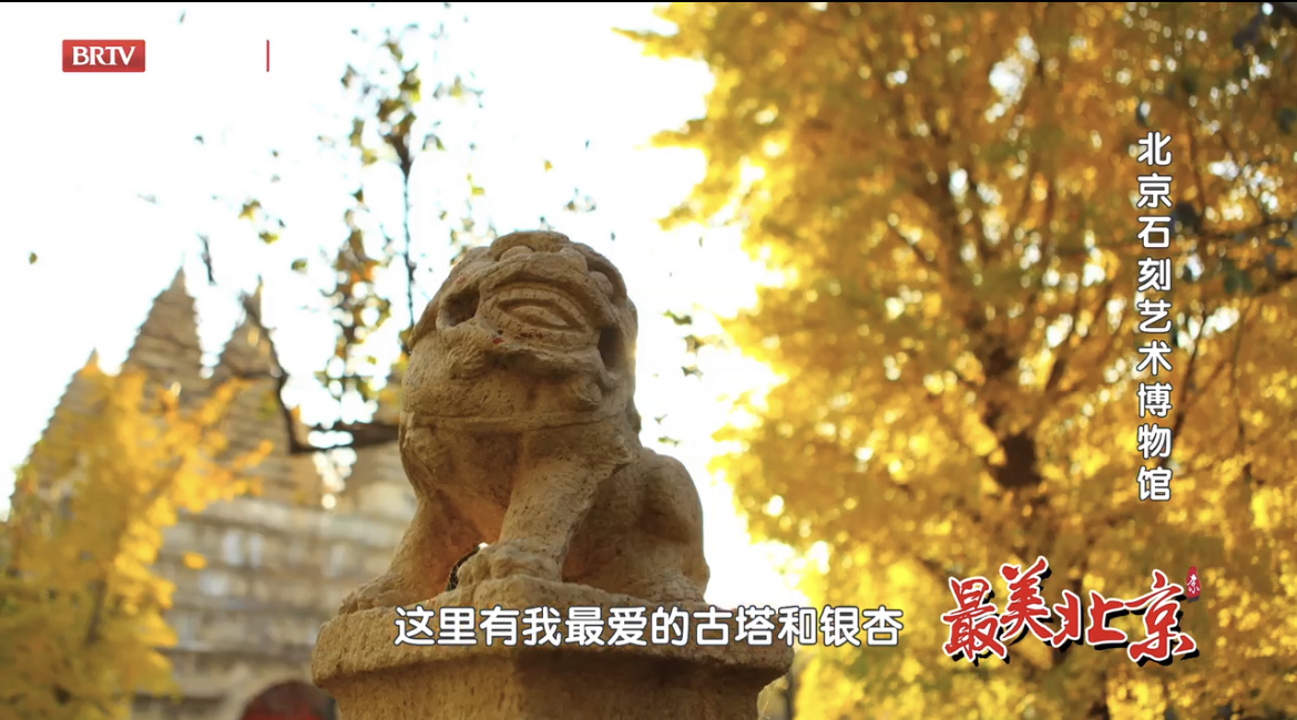 探寻最美北京——五塔寺古塔银杏辉映京秋 探寻最美北京——五塔寺古塔银杏辉映京秋