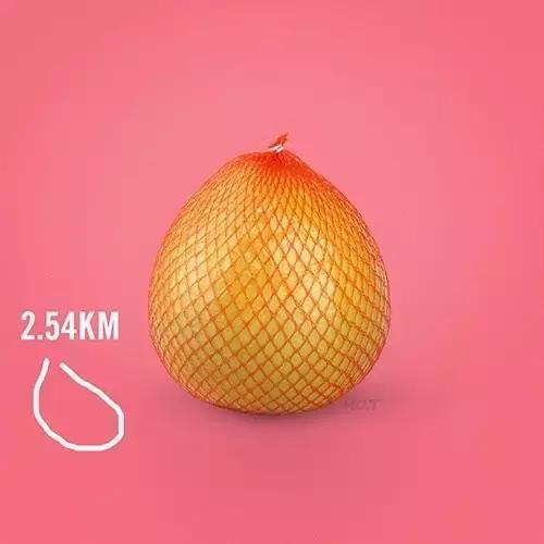 跑步的人果然不简单,用跑步路线画出美食图