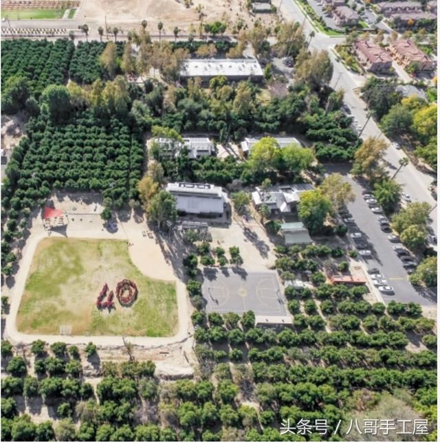 带你走进一所美国蒙台梭利AMI认证的幼儿园