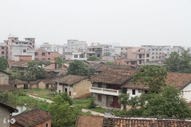 未来最适合农村发展的行业,聪明的人都不会错