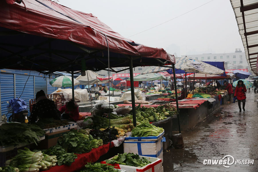 菜市场里出摊的人很少,大部分回老家过年还没回来呢.