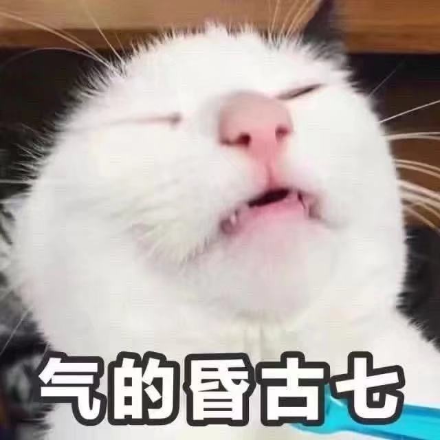 公证处人员上班打游戏 称几点打完几点上班