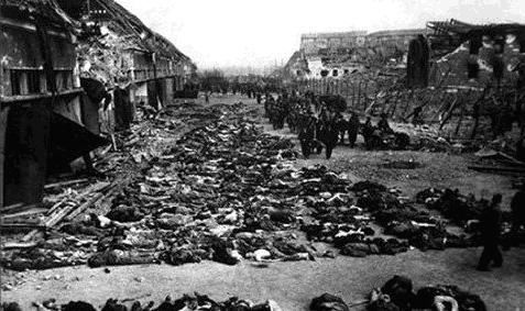 希特勒屠杀犹太人到底是因为什么?一只狗让人