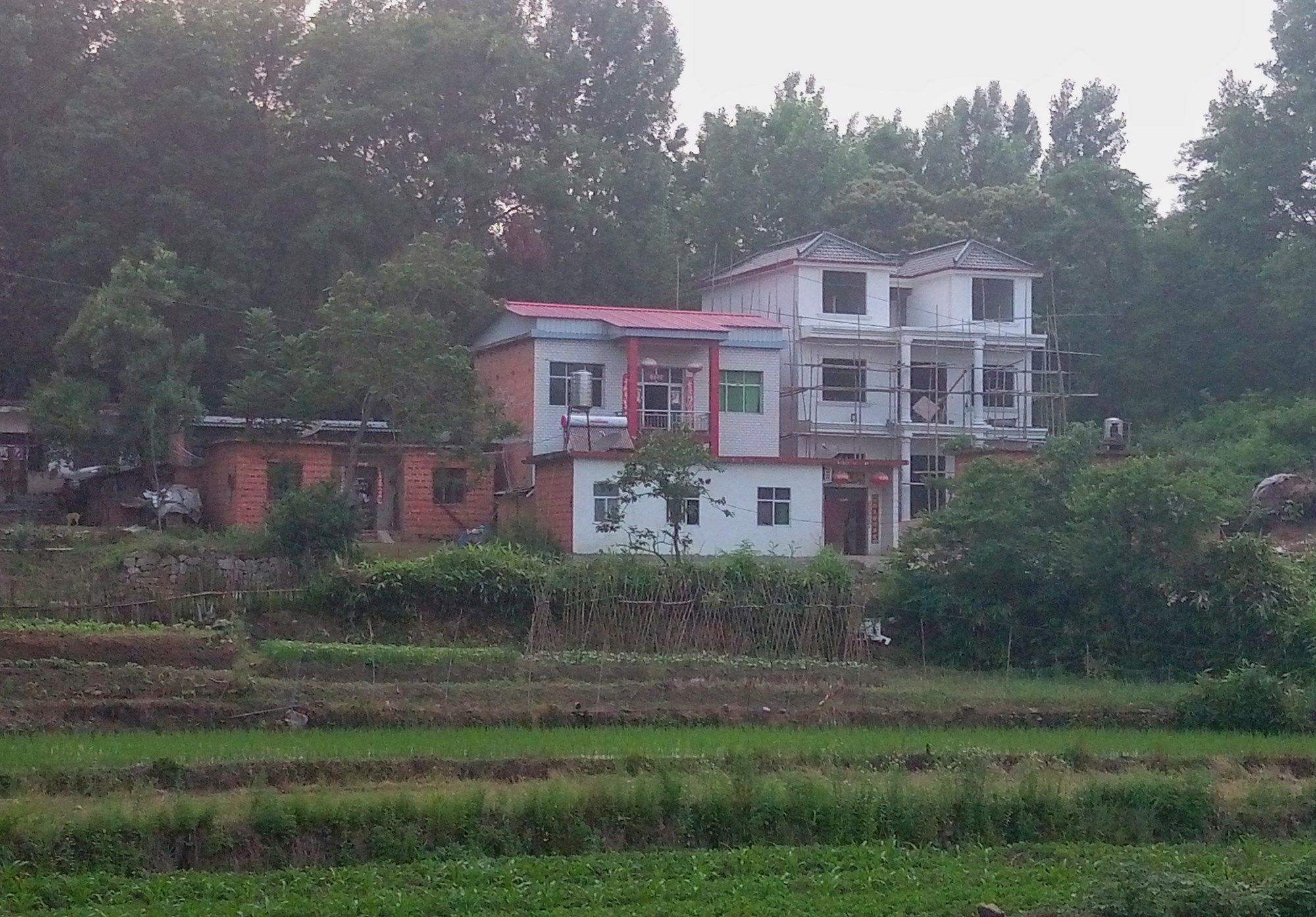 旅行途径河南国家级贫困县固始县,339国道两边