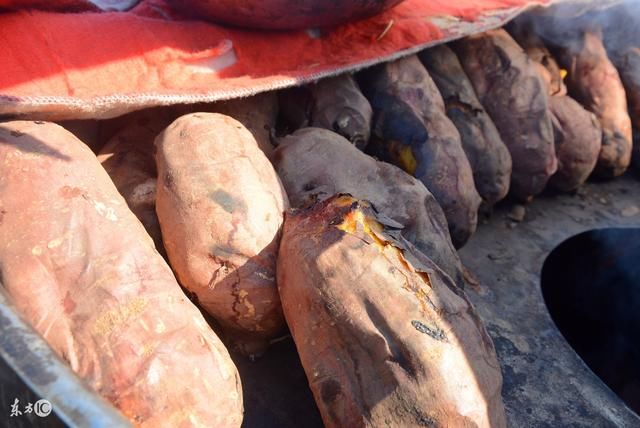 农村的小孩子坟地里烤刺猬 你们知道刺猬的哭声是什么声音吗?