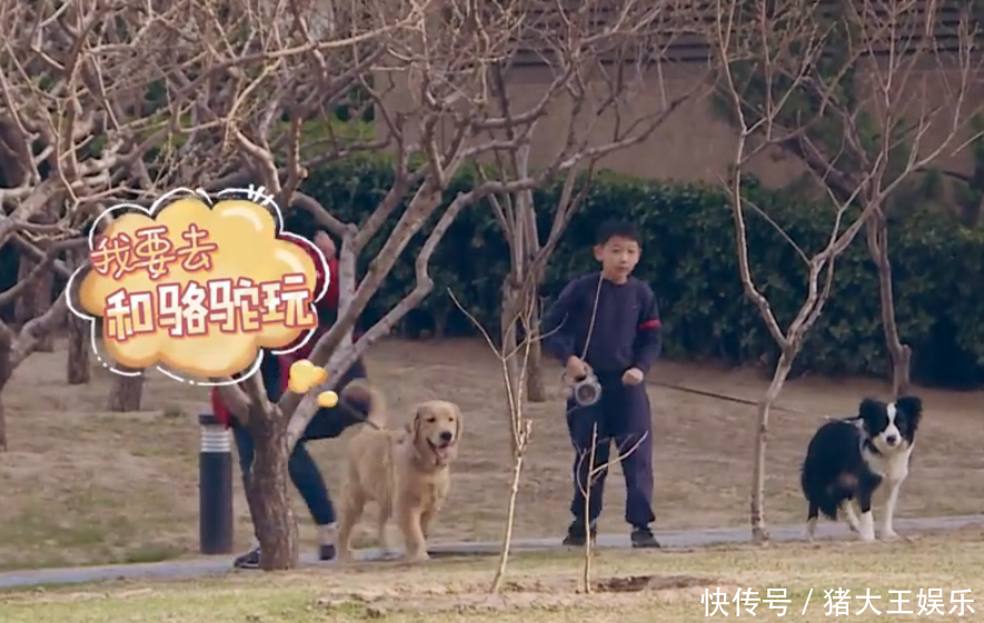 过气了?霍思燕小区遛狗无人搭讪,嗯哼穿错鞋子