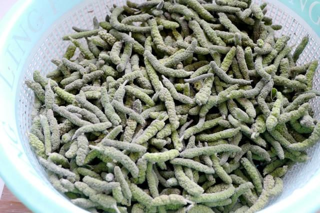 楮桃树上像桑葚一样的毛毛虫你吃过吗?别说