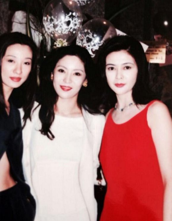 看了陈岚年轻时的照片,你就知道向华强为什么