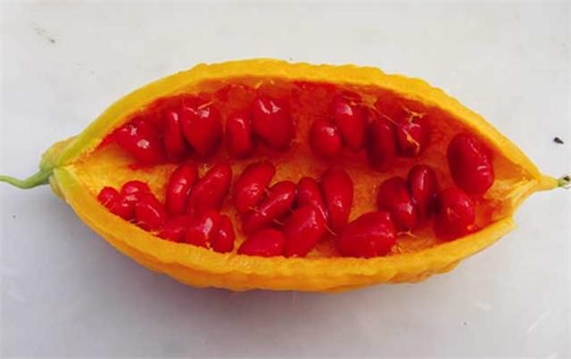 这个果实,比啥甜度都高,20年前到处都有,现在找