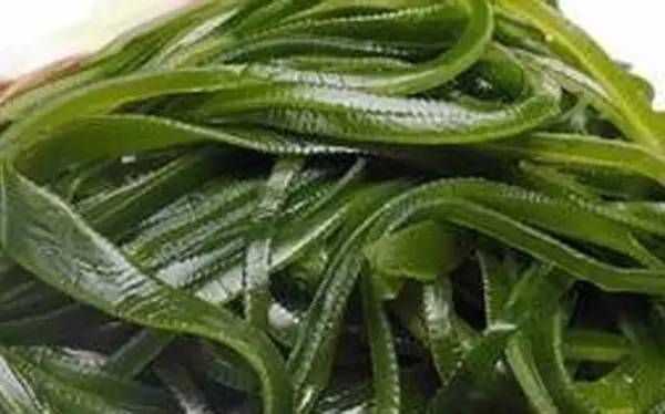 铅超标的危害比想象更严重,这几种排铅的食物